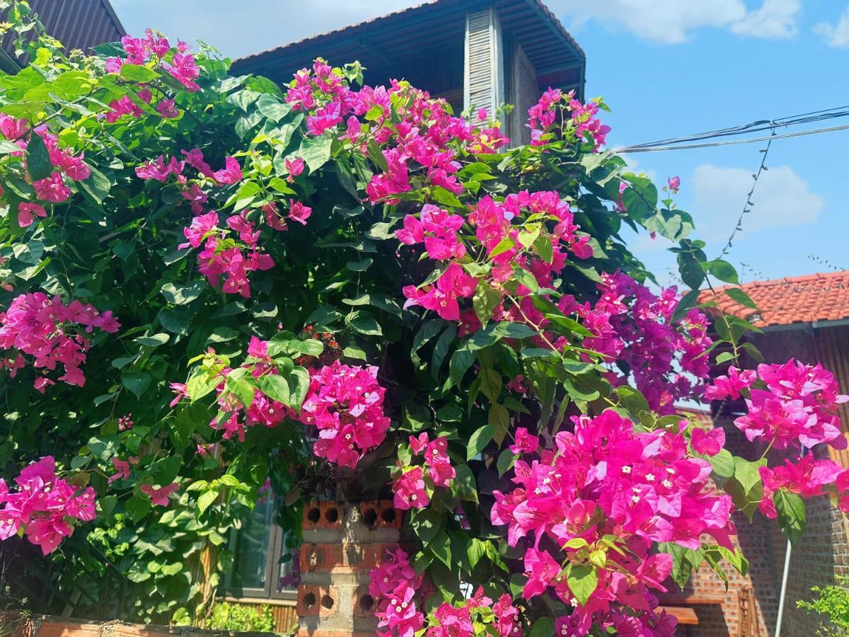 Trang An Moon Garden Homestay ニンビン エクステリア 写真