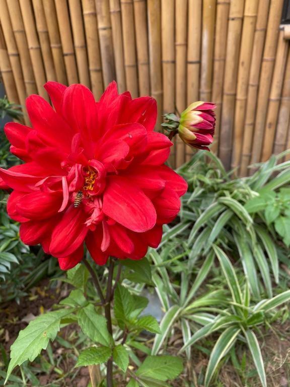 Trang An Moon Garden Homestay ニンビン エクステリア 写真