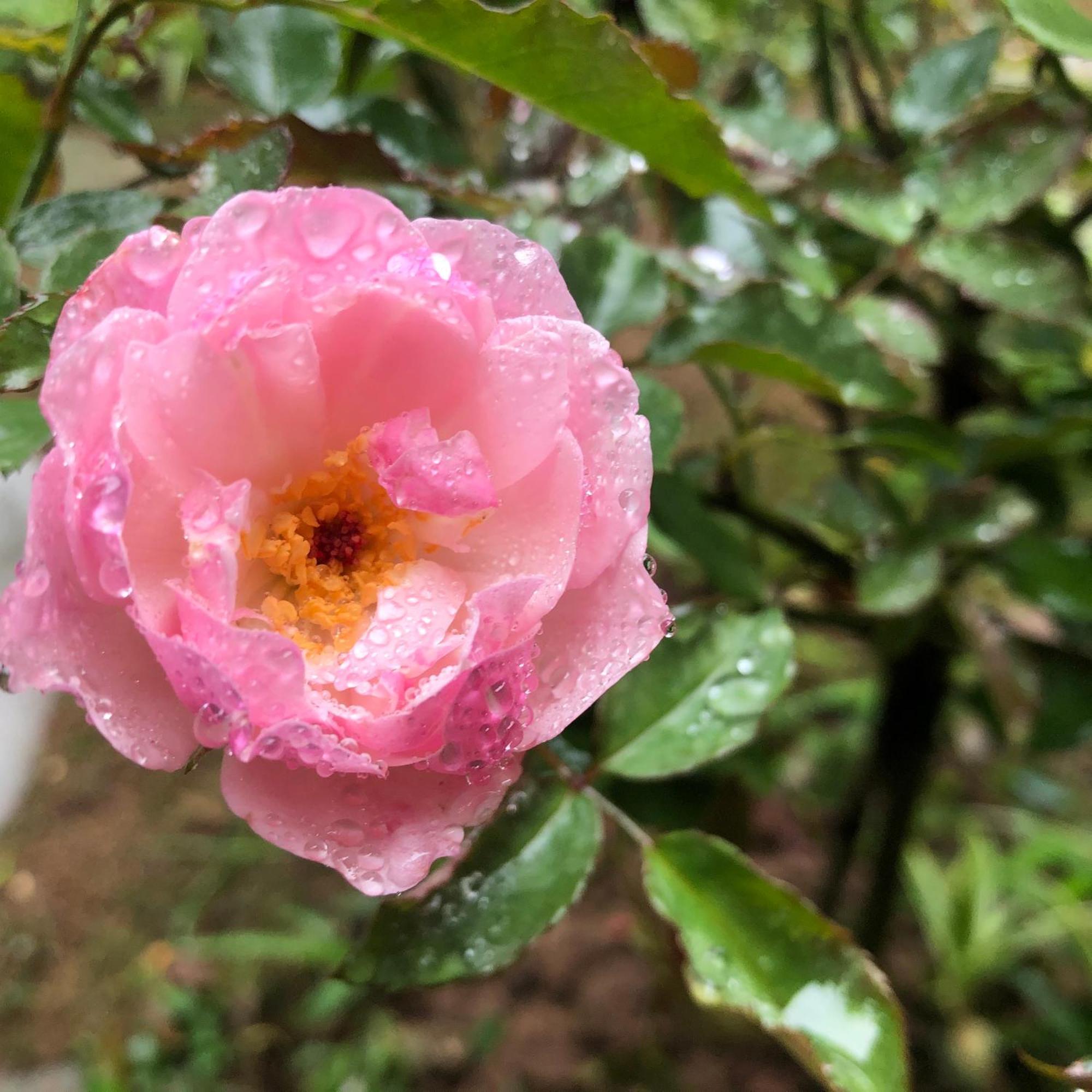 Trang An Moon Garden Homestay ニンビン エクステリア 写真