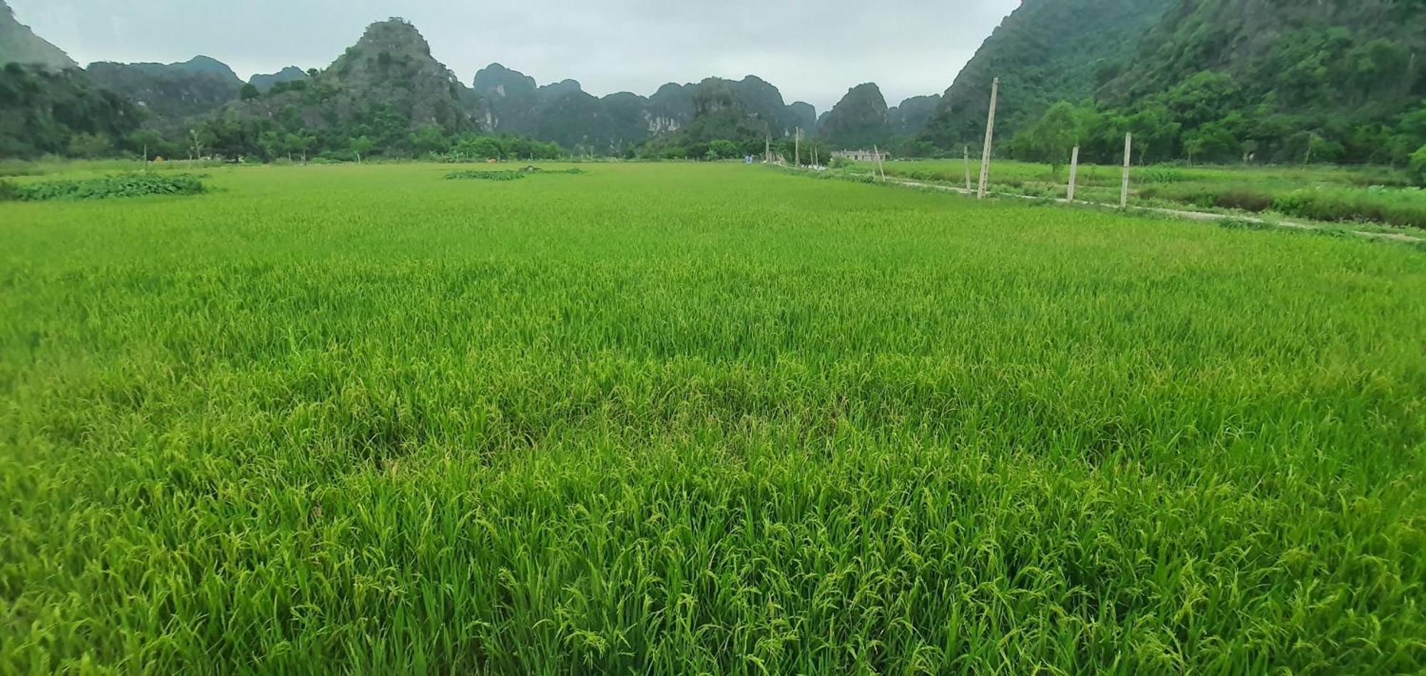 Trang An Moon Garden Homestay ニンビン エクステリア 写真