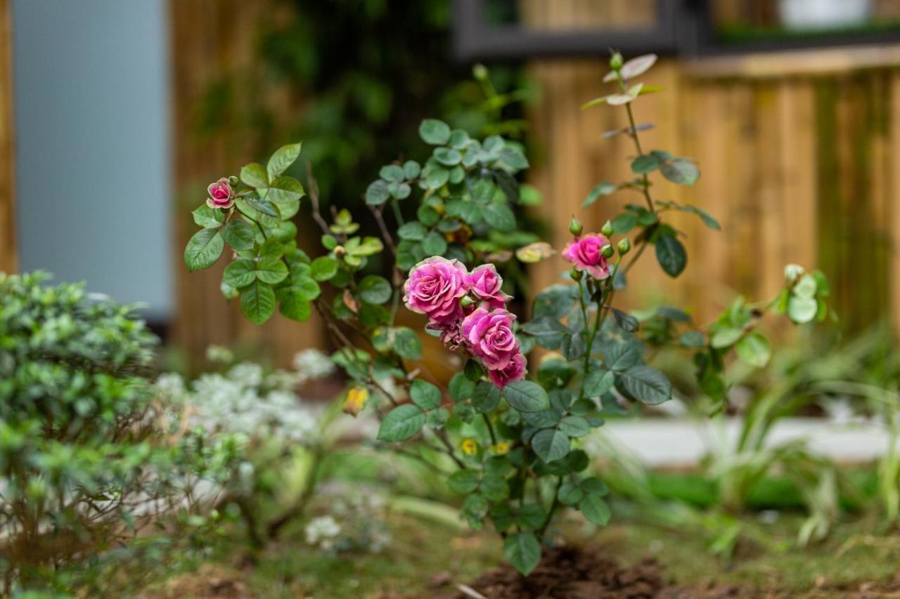 Trang An Moon Garden Homestay ニンビン エクステリア 写真